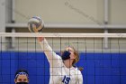Volleyball vs RWU  Wheaton Women’s Volleyball vs Roger Williams University. : Volleyball, VB